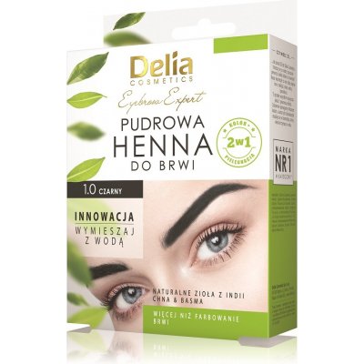 Delia Cosmetics Eyebrow Expert tónovacia farba na obočie 1.0 Black 4 g