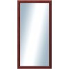DANTIK - Zrkadlo v rámu, rozmer s rámom 50x100 cm z lišty LEDVINKA vínová (1445)