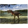 Deka Tyrannosaurus (Rozmer: 150 x 120 cm, Podšitie baránkom: NE)