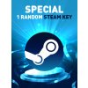 Special Random 1 Key (PC) Steam Key 10000339429001