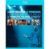 Moore Gary & Friends - One Night In Dublin / Blu-Ray Disc [Blu-Ray]