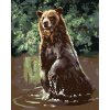 zuty Zuty - Maľovanie Podľa Čísel - Medveď Vo Vode (D. Rusty Rust), 40X50 Cm, Plátno (8596530163169)