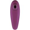 Best Womanizer CLASSIC Purple