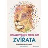 Omalovánky Pixel art Zvířata - 30 jedinečných obrazů - John Woodcock