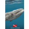 Diver's Log Book: scuba diving log book 100 dives