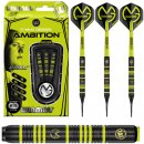 Winmau soft MvG Ambition 20g BRASS