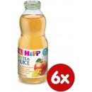 HiPP BIO Jablkova s feniklovým čajom 6 x 500 ml