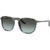 Ray-Ban RB2203 1391GK - M (52)