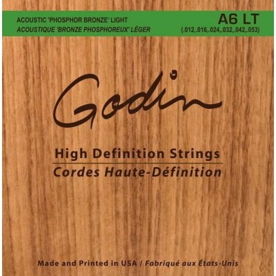 Godin Strings Acoustic Guitar LT