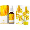 Energy Gynex 30 ml + Energy Cytovital 50 ml darčeková sada