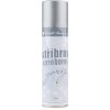 Anděl Přerov Sprej dekoračný, strieborný, 150 ml