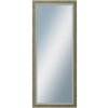 DANTIK - Zrkadlo v rámu, rozmer s rámom 50x120 cm z lišty AMALFI zelená (3115)