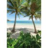 Komar Vliesová fototapeta Palmy Beach 200 x 280 cm