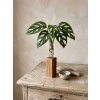 BotaneryLab ELEMENT Dub - drevený stojan na zakoreňovanie rastlín WoodenBotanery Motív: C