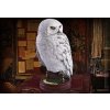 Noble Collection Harry Potter sova Hedviga