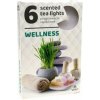 Admit čajové sviečky Wellness 6 ks, Wellness