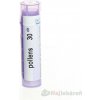 POLLENS, GRA HOM CH30, proti sennej nádche, 4 g