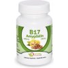 Amygdalin Vitamin B17 20 mg tablety 100 ks