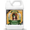 Terra Power Enigma - Terra Silica 500ml