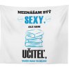 Sablio Dárková deka Nesnáším být sexy ale jsem učitel 150x120