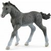 Schleich 13944 Zvieratko – žriebä trakénske 4059433461106