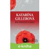 E-kniha Iba trochu lásky - Katarína Gillerová