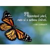 Magnet na lednici 