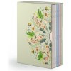 Elementals: 5-Volume Set (Bruce Jennings,Nickole Brown,Craig Santos Perez)(Brožovaná)