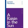 Raisin in the Sun (Lorraine Hansberry)(Brožovaná)