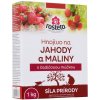 ROSTETO jahody,maliny s čad.múčkou 1kg /7/