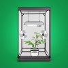 LED 465W PRO Grow Box 120x120x220cm