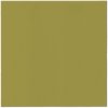 Obrúsky PAW AIRLAID 40x40 cm Monocolor olive