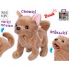 Mikro trading Take Me Home - Pes plyšový chodící, štěkající a vrtící ocasem - 21 cm - hnědá