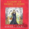 A Court of Thorns and Roses Coloring Book - J. Sarah Maasová