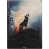 Nils NC3601 Wolf 3v1