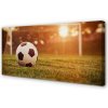 Obraz canvas Lopta slnko gate 100x50 cm
