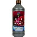 HESI Boost 1L