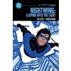 Nightwing: Leaping Into the Light: DC Compact Comics Edition (Bruno Redondo,Neil Edwards)(Brožovaná)