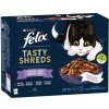 FELIX - Kapsičky FELIX Tasty Shreds lahodný výber s rybou v šťave 12 x 80 g