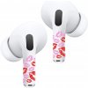 RockMax Art Skin pre AirPods Pro 2 / Pro / AirPods 4 - Pusa