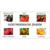 Veľká paradajková záhrada EXTRA (semená-darčekový set)