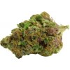 Growers Choice - Red Banana Berry Double XL Auto 5 ks - Semená neobsahujú THC