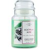 Purple River Acai a aloe 623 g