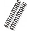 BITUBO Fork springs kit BITUBO K=1.00 (+1 Lt. Oil)