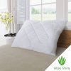 Kvalitex Vankúš Aloe Vera ZIP 70x90