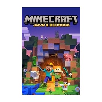 Minecraft (Java & Bedrock Edition)