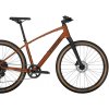 Bicykel Trek Dual Sport 3 Gen 5 Pennyflake 2024 M