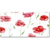 Foto obraz sklenený horizontálny maky 100x50 cm