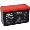 GOOWEI ENERGY 10Ah 12.8V CNLFP10-12.8