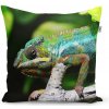 Sablio Vankúš Chameleón - 50x50 cm